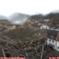 11_30-nest.jpg