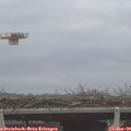 11_40-mast.jpg