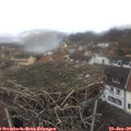 11_40-nest.jpg