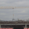 11_45-mast.jpg