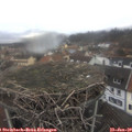11_45-nest.jpg