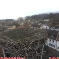 12_00-nest.jpg