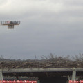 12_05-mast.jpg