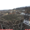 12_05-nest.jpg