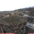 12_10-nest.jpg