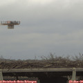 12_15-mast.jpg
