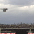 12_20-mast.jpg