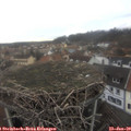 12_20-nest.jpg
