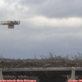 12_25-mast.jpg