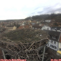12_25-nest.jpg