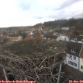 12_30-nest.jpg