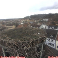 12_35-nest.jpg