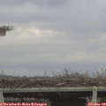 12_40-mast.jpg