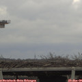 12_45-mast.jpg
