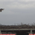 13_05-mast.jpg