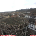 13_05-nest.jpg