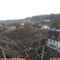 13_15-nest.jpg