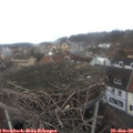13_20-nest.jpg