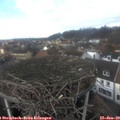 13_25-nest.jpg