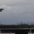 13_40-mast.jpg
