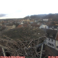 13_45-nest.jpg