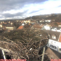 13_50-nest.jpg