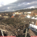 13_55-nest.jpg
