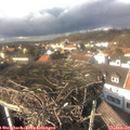 14_05-nest.jpg