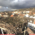 14_10-nest.jpg