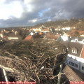 14_15-nest.jpg