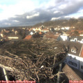 14_20-nest.jpg