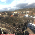 14_25-nest.jpg