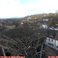 14_30-nest.jpg