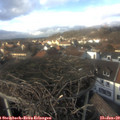 14_35-nest.jpg