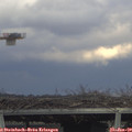 14_40-mast.jpg