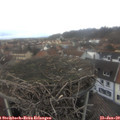 14_40-nest.jpg