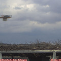 14_45-mast.jpg