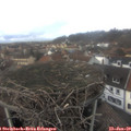 14_45-nest.jpg