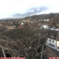 14_50-nest.jpg