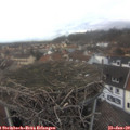 15_00-nest.jpg