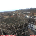 15_15-nest.jpg