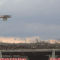 15_25-mast.jpg