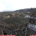 15_25-nest.jpg