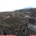 15_40-nest.jpg