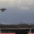 15_45-mast.jpg