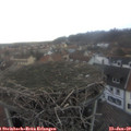 15_45-nest.jpg
