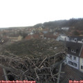 15_50-nest.jpg
