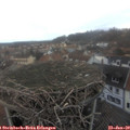 16_05-nest.jpg