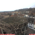 16_15-nest.jpg