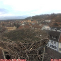 16_25-nest.jpg